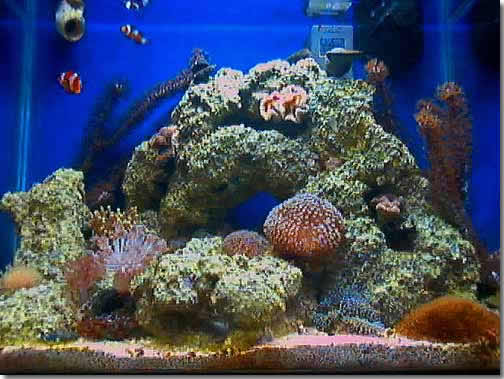 Entire Tank 02/12/02