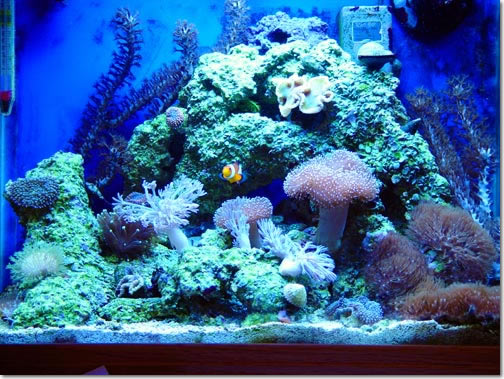 Entire Tank 05/14/02